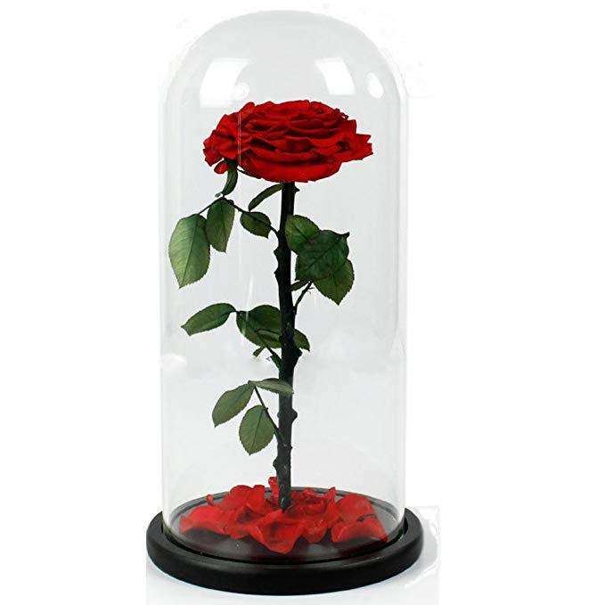 Preserved Flower Rose Decoration Never Withered Handmade Fresh Flower Rose with Beautiful Glass Cover Gift for Valentine's Day Christmas Anniversary Birthday Thanksgiving