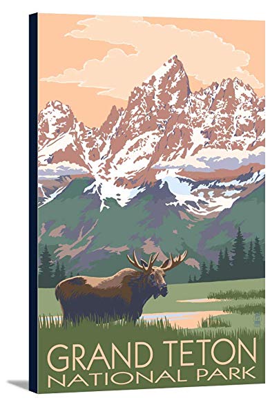 Grand Teton National Park - Moose and Mountains (12x18 Gallery Wrapped Stretched Canvas)