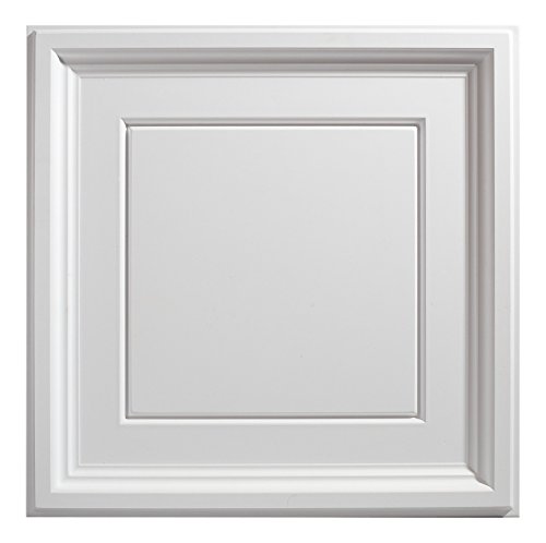 Genesis Easy Installation Icon Coffer Lay-In White Ceiling Tile/Ceiling Panel, Carton of 12 (2' x 2' Tile)