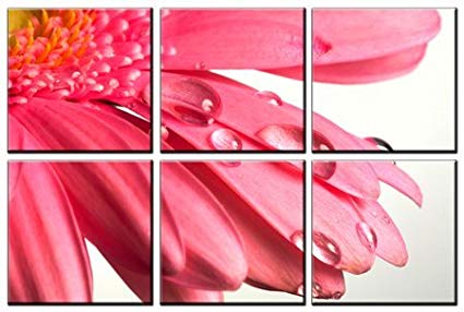 Pink flower print on canvas, framed and ready to hang, modern home and office floral interior decor, flower canvas designs, 6 panel print, wall art