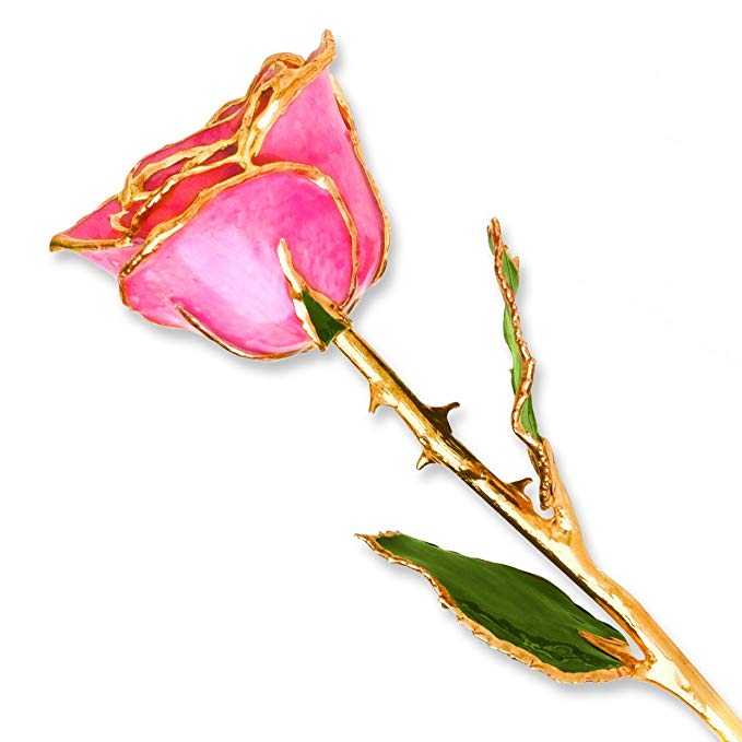 Allmygold Jewelers Long Stem Dipped 24K Gold Trim Pink Genuine Rose in Gold Gift Box