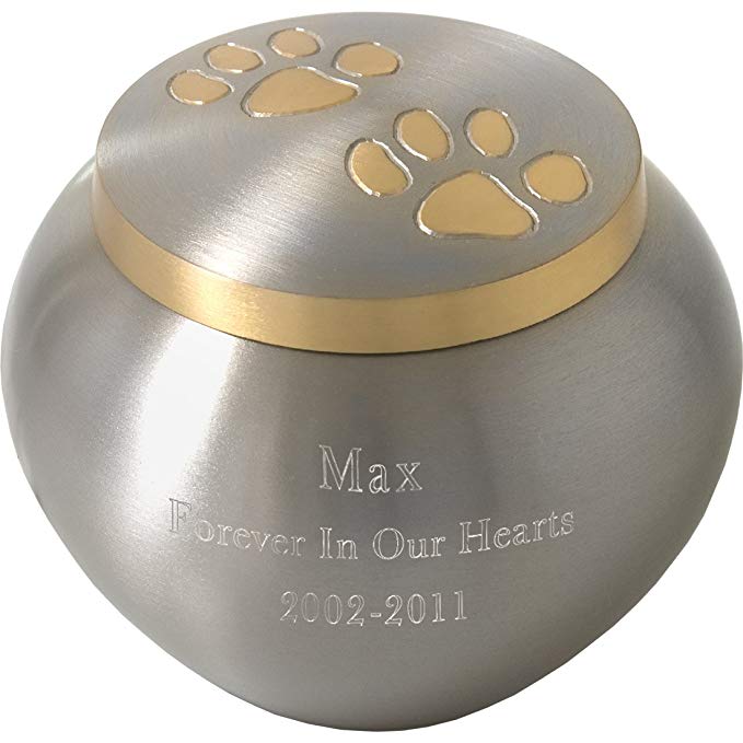 Pet Cremation Brass Pet Urn With Golden Pawprints