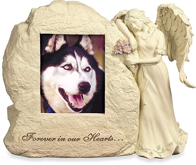 AngelStar 11-Inch by 9-Inch by 4-1/2-Inch Pet Urn with Frame, Forever in Our Hearts