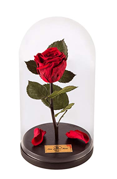 Forever Rose Real Beauty And The Beast, Home Decor, Preserved Rose, infinity Rose, unique gift for mothers day, anniversary and Birthday