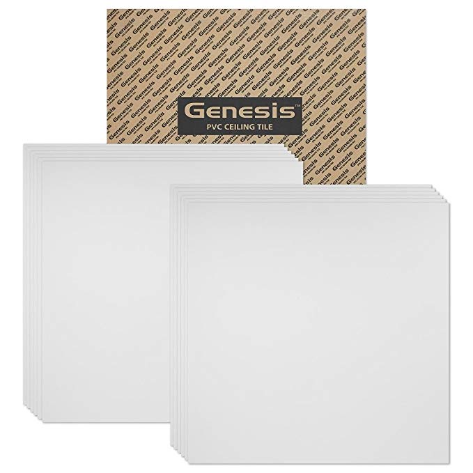 GENESIS - Smooth Pro 2x2 Ceiling Tiles 4 mm Thick – These 2’x2’ Drop Ceiling Tiles are Water Proof and Won’t Break - Fast and Easy Installation (Carton of 12)